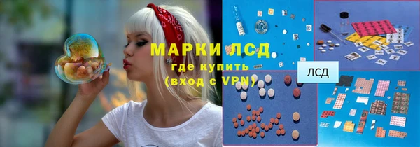 прущая мука Арсеньев